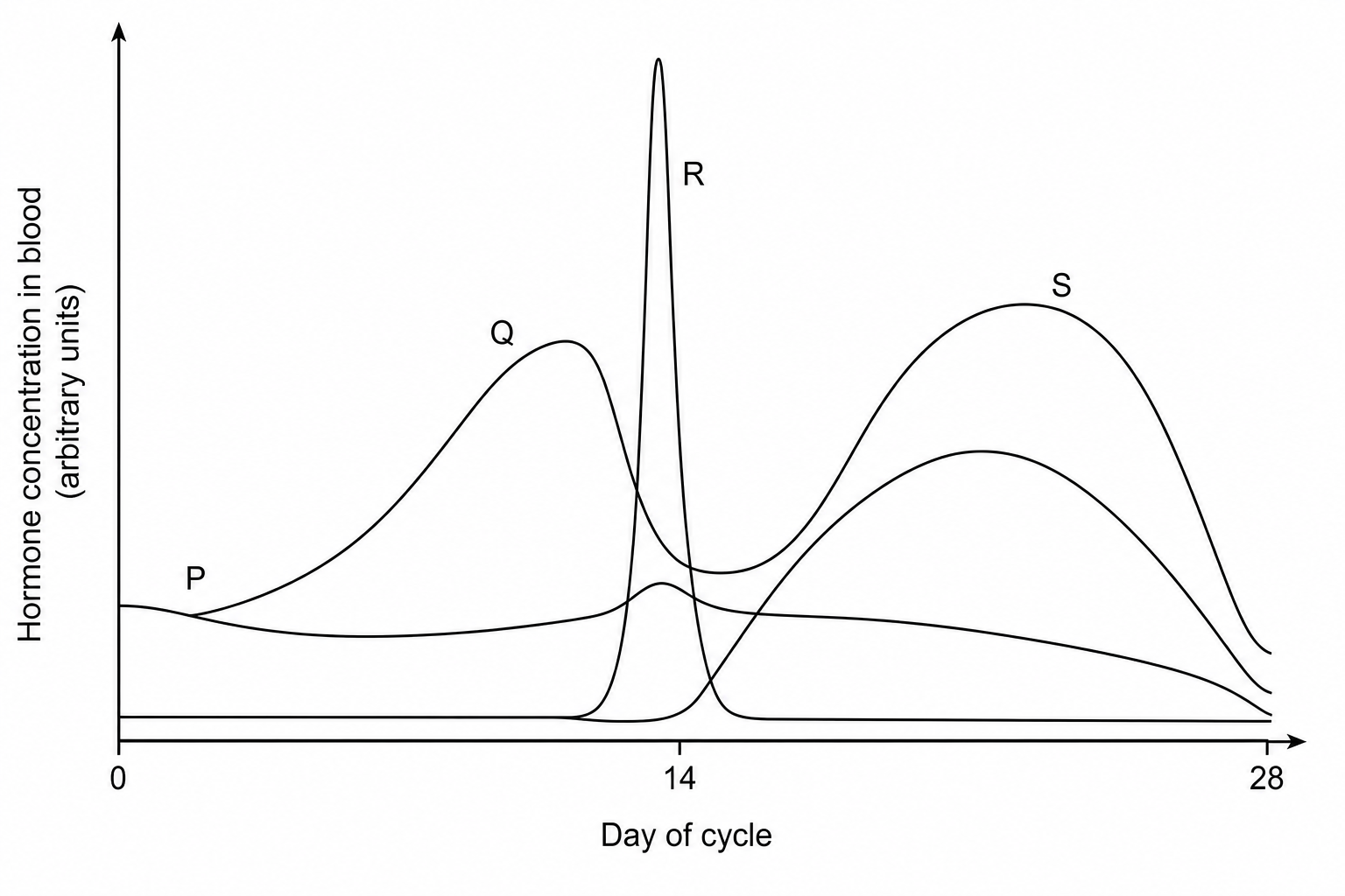 Menstrual cycle hormones