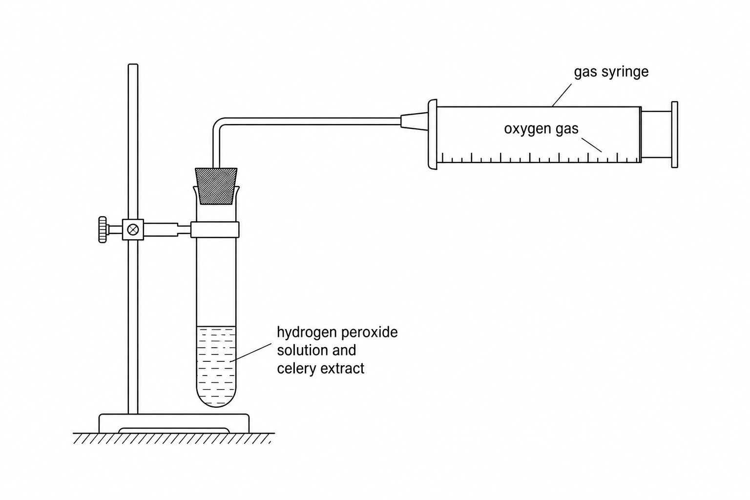 A diagram showing a boiling tube containing hydrogen peroxide solution and celery extract, connected via a delivery tube to a gas syringe to collect the oxygen gas produced.