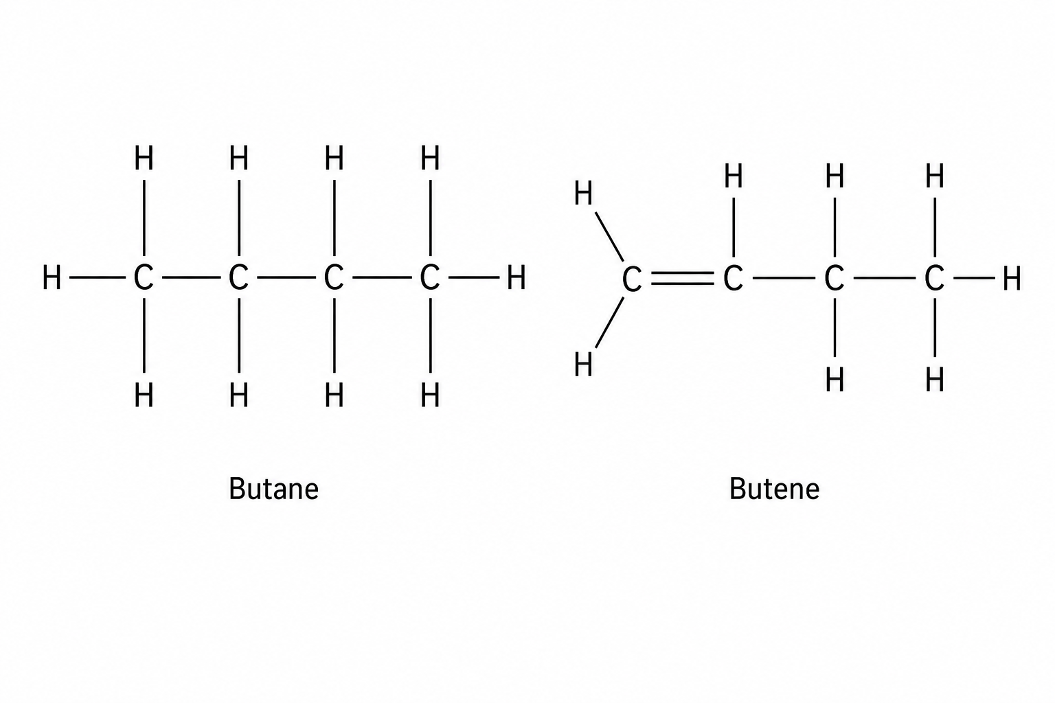 Butane and Butene Structures