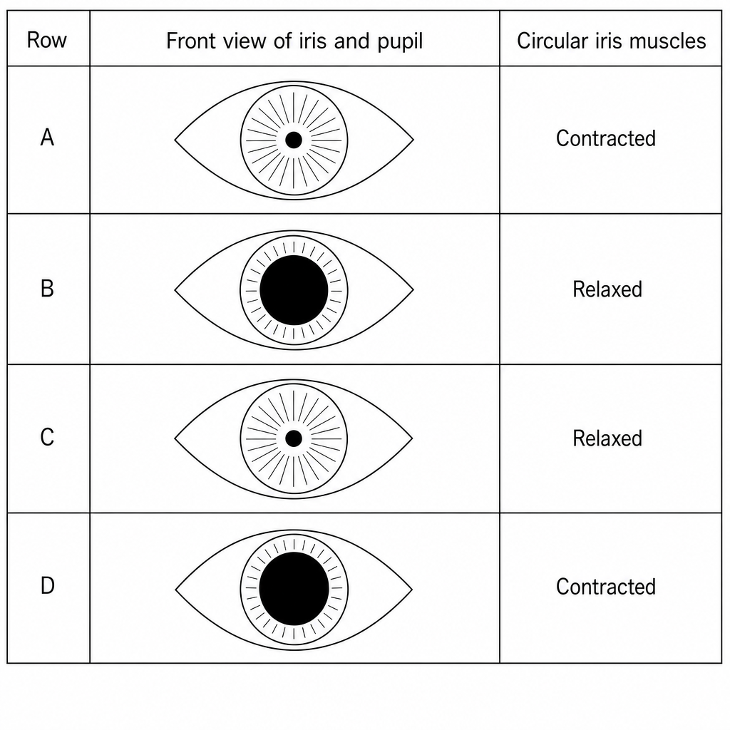 Eye response table