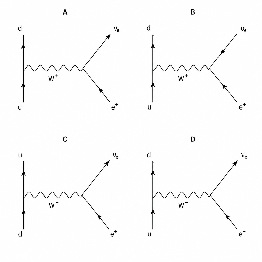 Four Feynman diagrams labeled A, B, C, and D showing quark and lepton interactions.