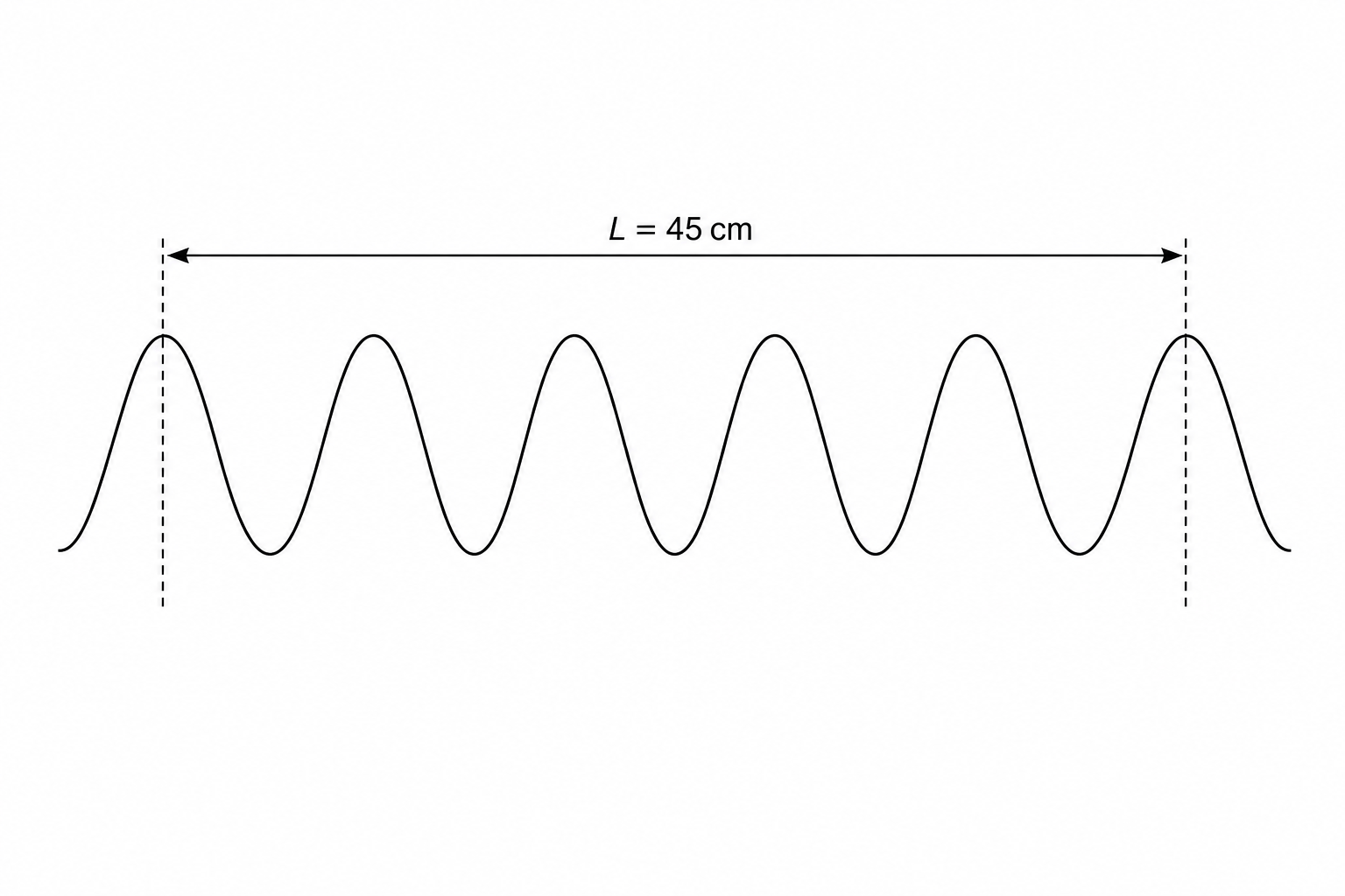 Water waves in a ripple tank