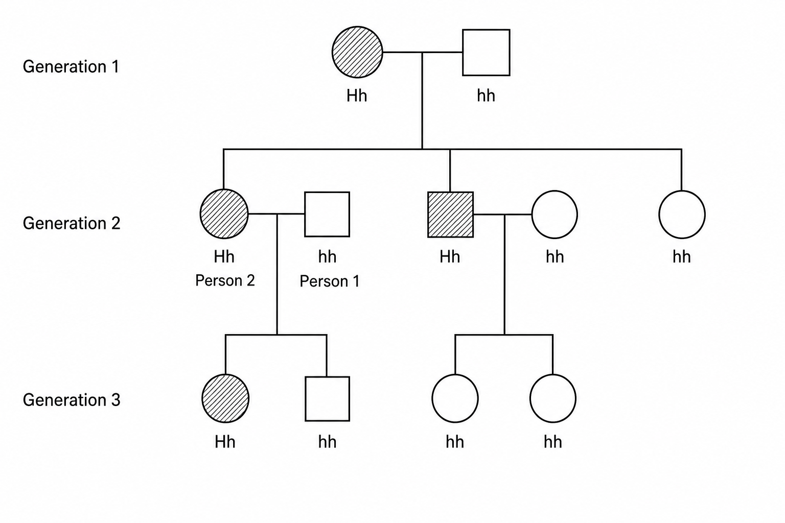 A family pedigree chart spanning three generations showing the inheritance of Huntington's disease. Shaded shapes represent individuals with Huntington's disease (carrying allele H), and unshaded shapes represent unaffected individuals (genotype hh). Squares represent males and circles represent females.