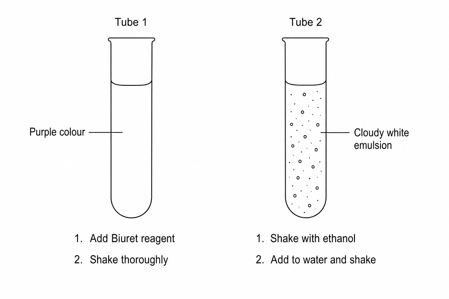 Two test tubes showing positive results in food tests