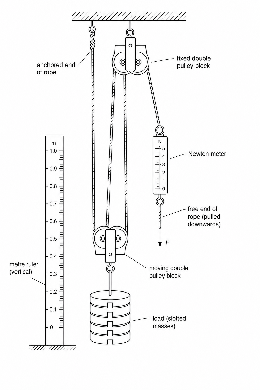 An experimental setup of a block and tackle pulley system with a fixed double pulley block, a moving double pulley block, a load of slotted masses, a Newton meter, and a vertical metre ruler.