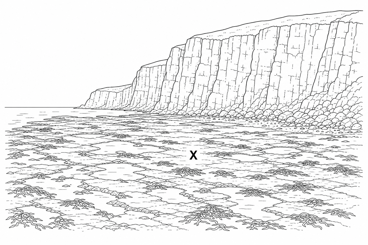 A photograph of a rocky coastal landscape in South Wales. At the base of high, steep limestone cliffs, there is a wide, flat, gently sloping rocky area exposed at low tide, covered with rock pools and seaweed. This flat rocky area is labeled X.