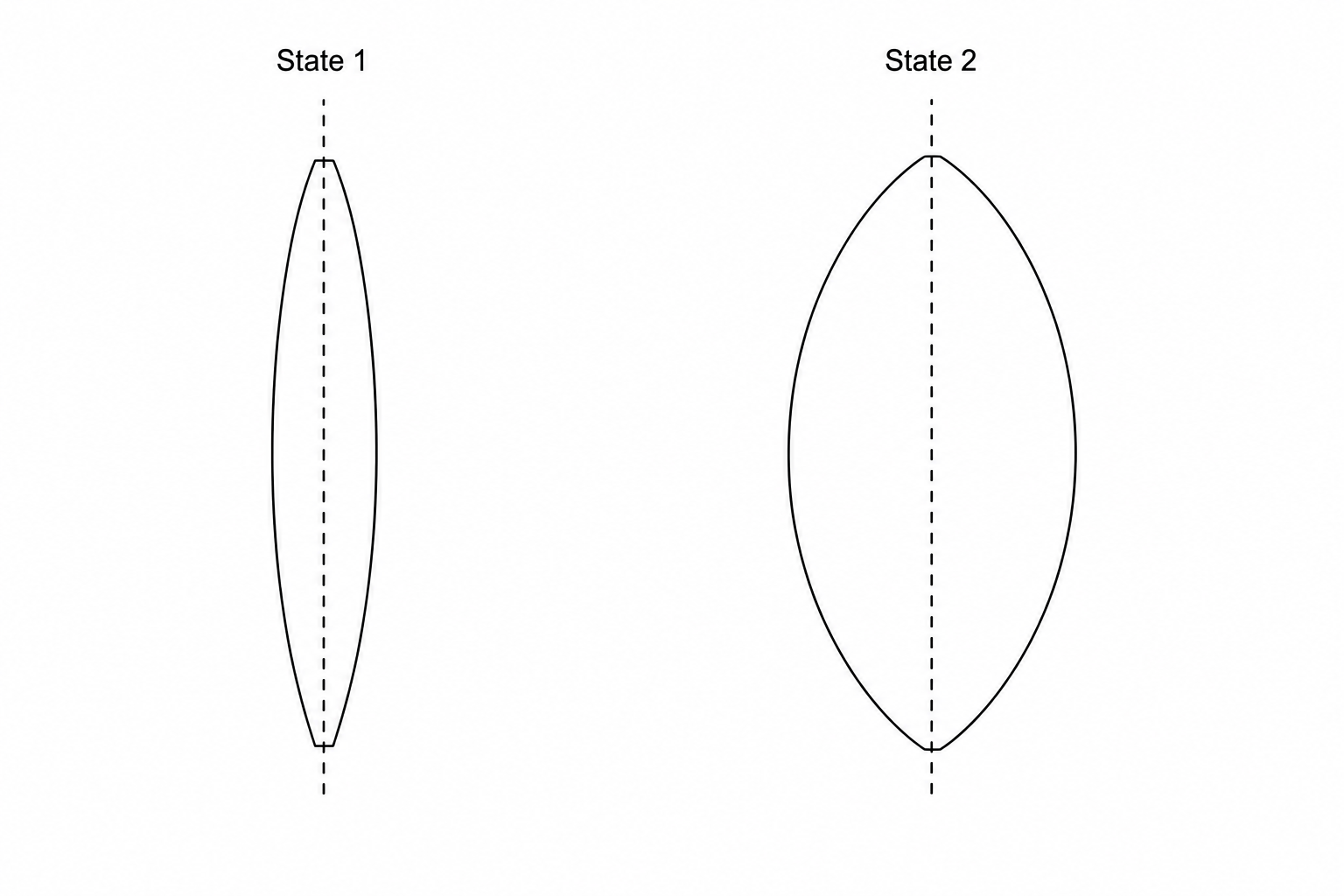 An adjustable liquid lens in two states: State 1 is a thin biconvex lens with a gentle curvature, and State 2 is a thick, highly-curved biconvex lens.