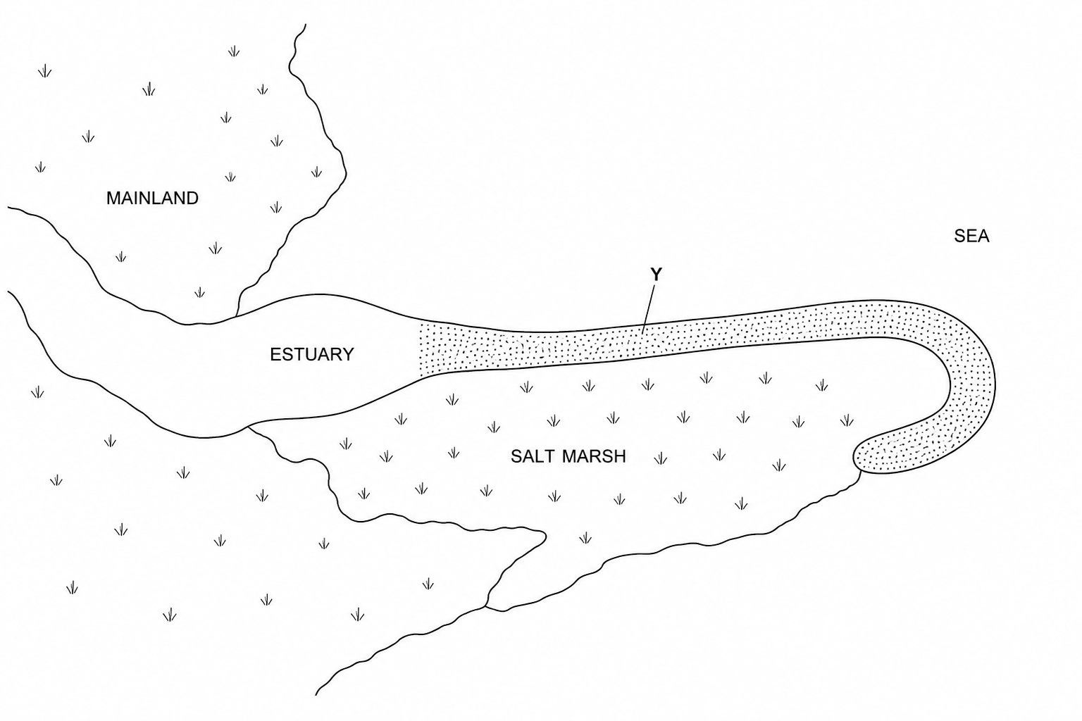 Figure 3: An aerial photograph showing a long, narrow ridge of sand and shingle extending out from the mainland across an estuary mouth. The end of this ridge curves back towards the land, forming a hooked shape. In the sheltered water behind this ridge, a salt marsh has developed. The ridge feature is labeled 'Y'.