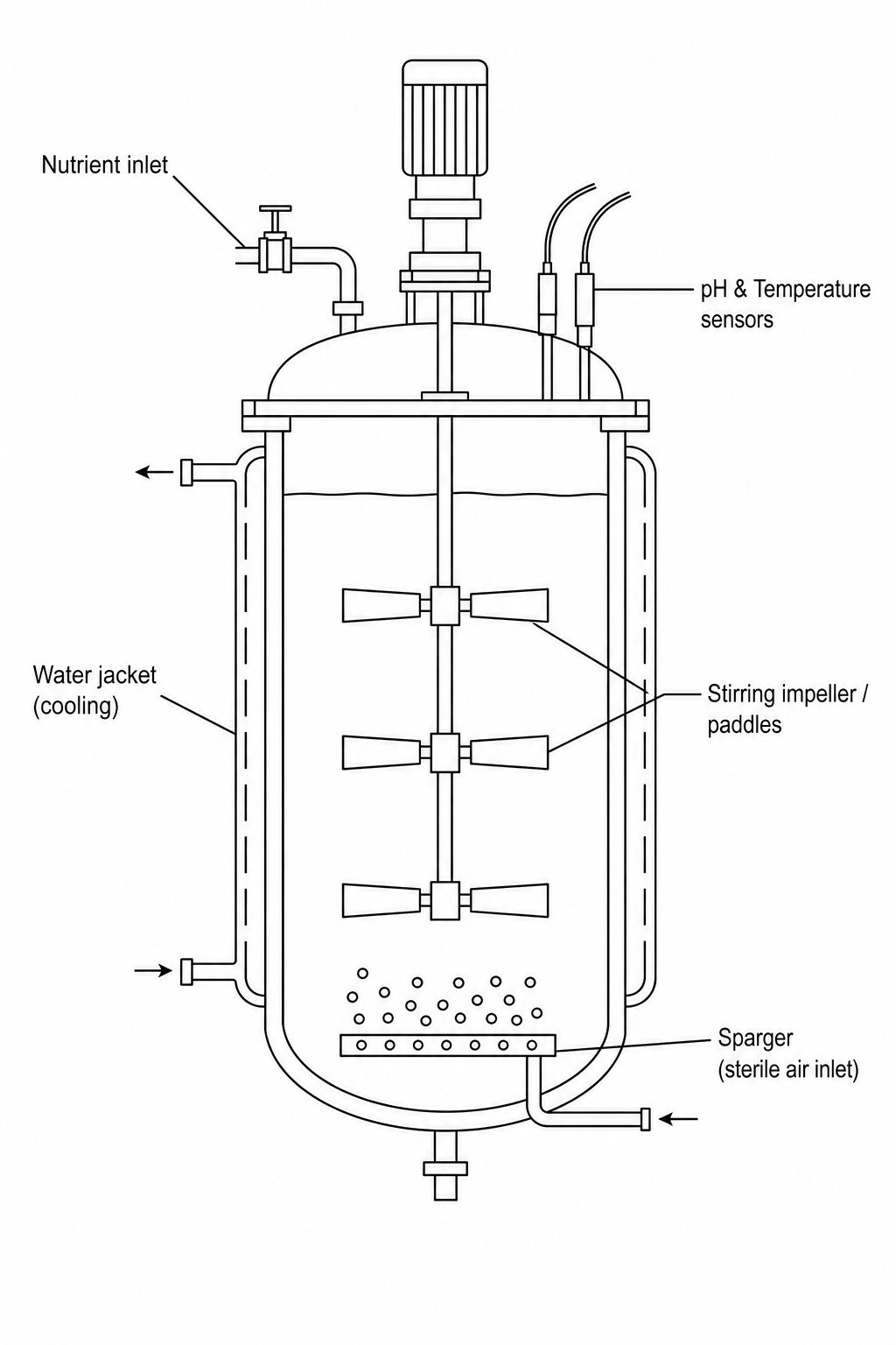 Industrial Bioreactor Diagram