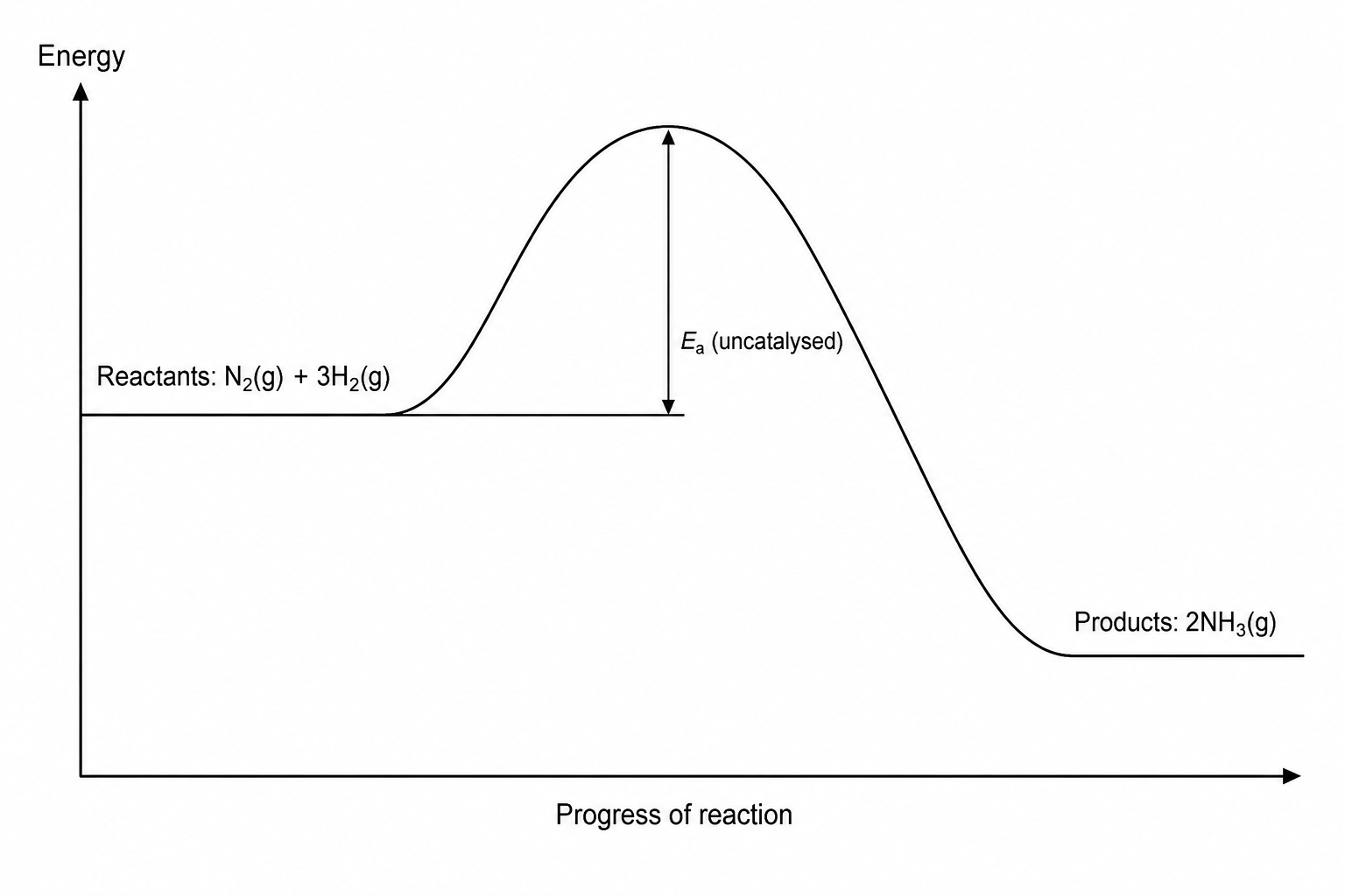 Ammonia synthesis reaction profile
