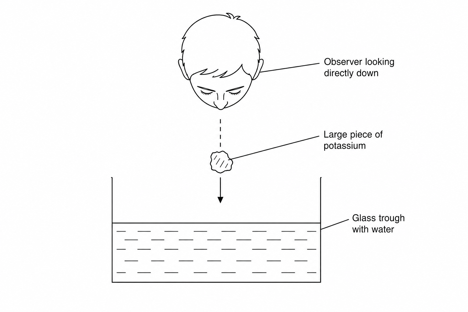 Diagram showing a large piece of potassium being dropped into an open glass trough of water, with a person standing directly over the trough looking down.