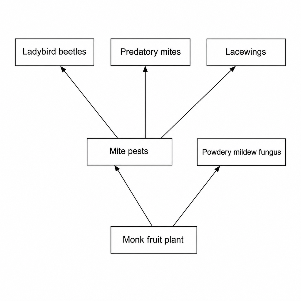 A food web diagram