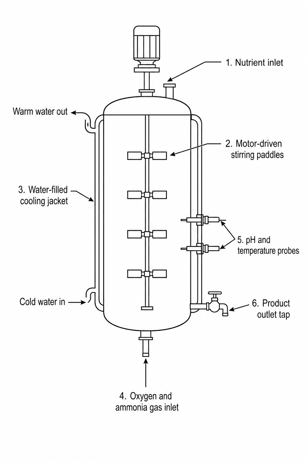 Mycoprotein bioreactor