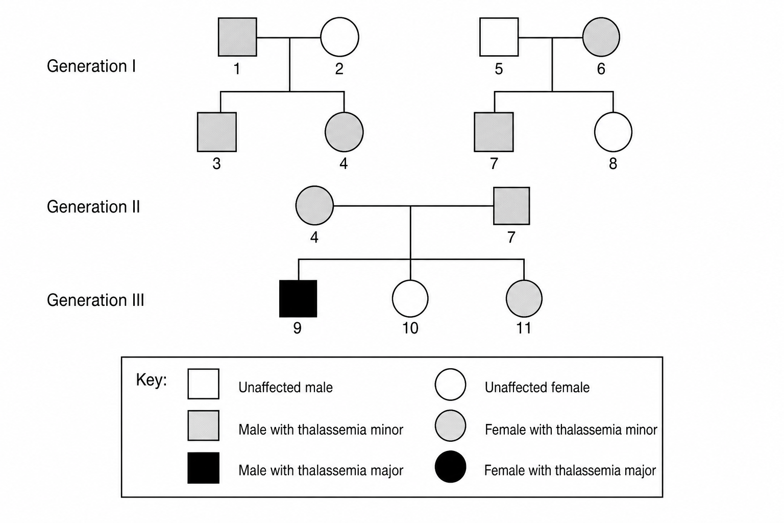 Figure 1: Pedigree showing beta-thalassemia inheritance
