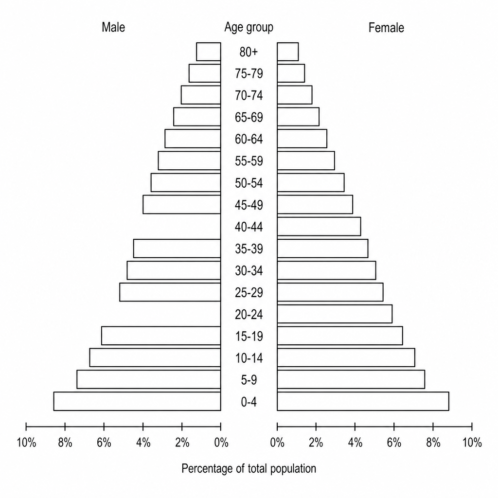 An incomplete population pyramid for Kenya in 2020. The y-axis shows age groups in 5-year bands from 0–4 up to 80+. The base x-axis represents the percentage of the total population, running from 0 to 10% on the left (Male) side and 0 to 10% on the right (Female) side. On the Male side, three specific horizontal bars are completely blank/missing: 5–9, 20–24, and 40–44. All other age bands for both males and females are fully plotted.
