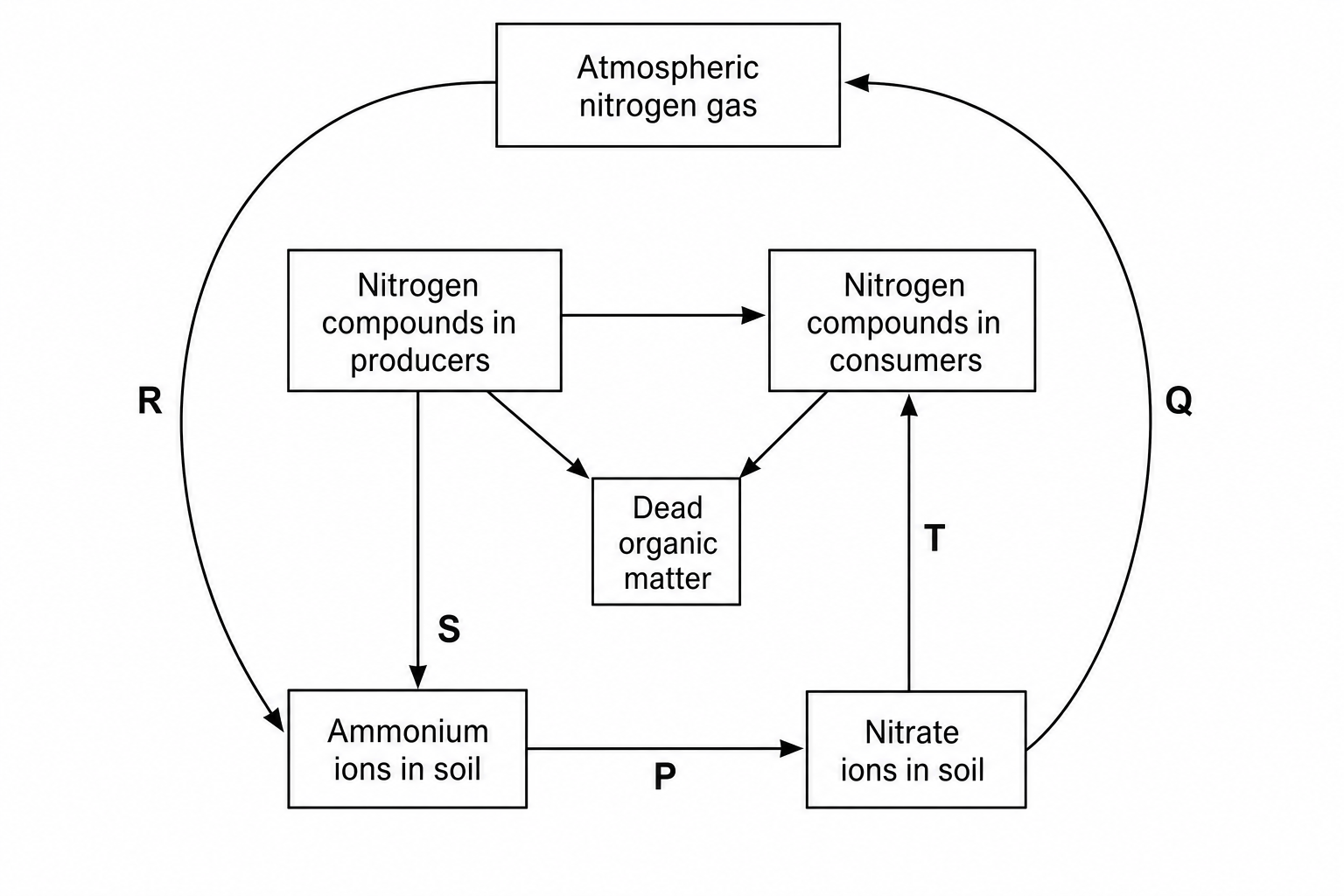 The nitrogen cycle diagram showing reservoirs of nitrogen and processes connecting them.