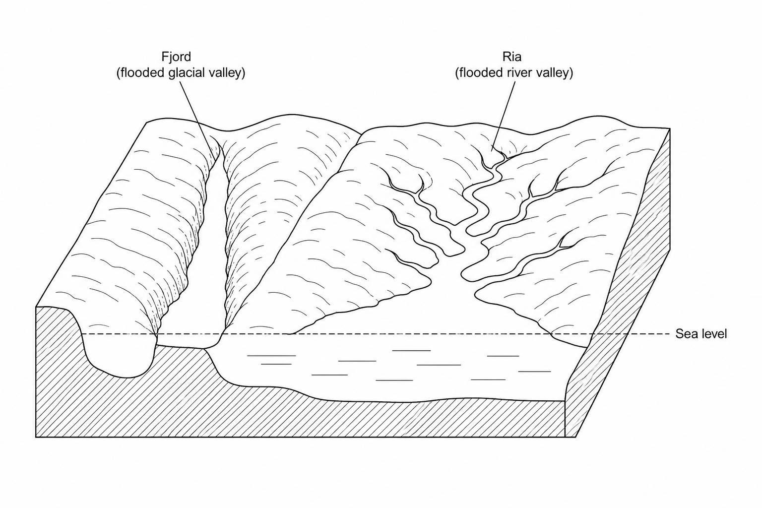 Figure 2a: A block diagram of a submergent coastline. It shows a deeply indented coastline. On the left is a long, narrow, steep-sided inlet with a shallow threshold at its mouth, labelled 'Fjord (flooded glacial valley)'. On the right is a branching, winding inlet with dendritic tributary patterns that is wide at the mouth and shallower inland, labelled 'Ria (flooded river valley)'.