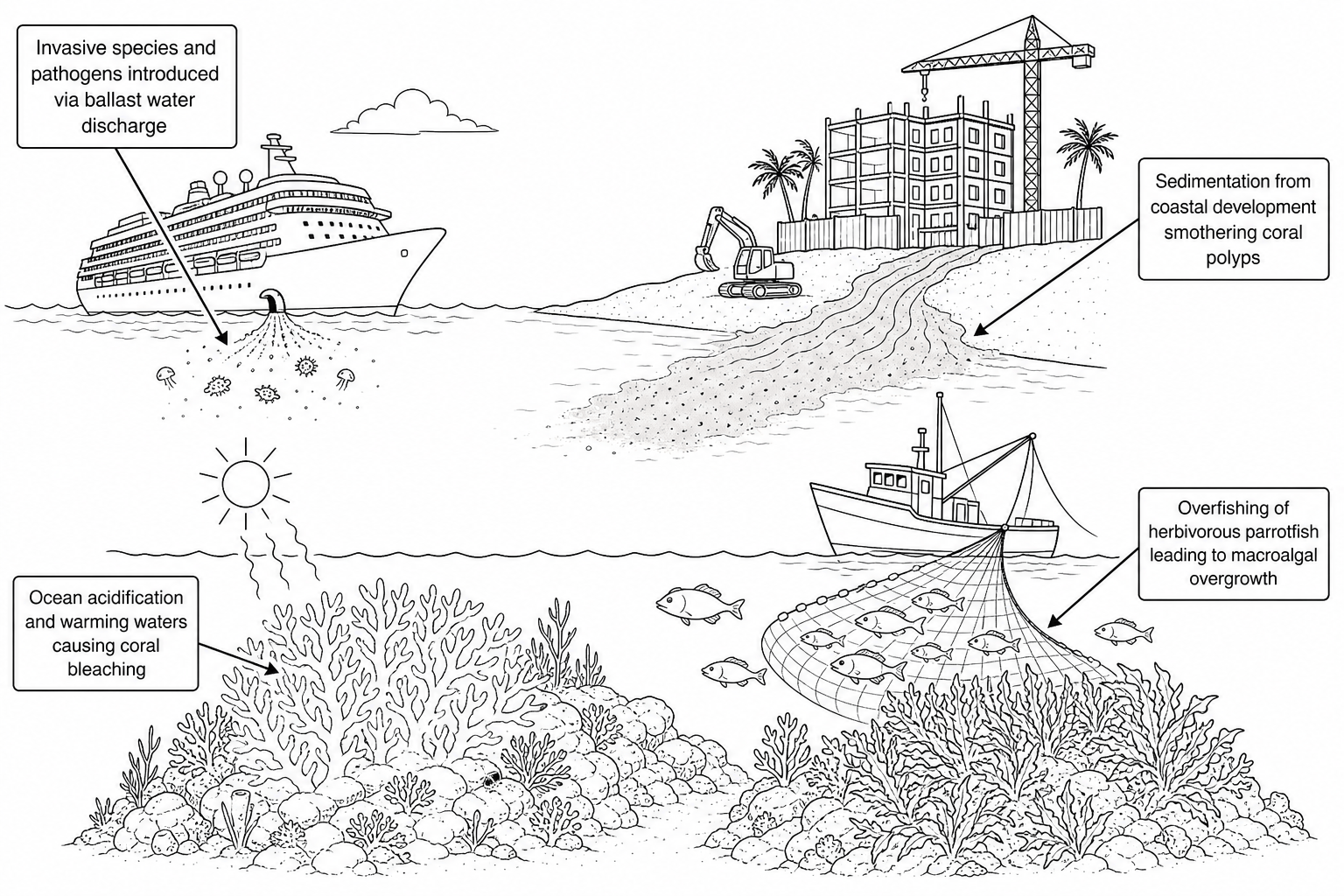Figure 6: A diagram showing four distinct threats to the Mesoamerican Barrier Reef ecosystem.