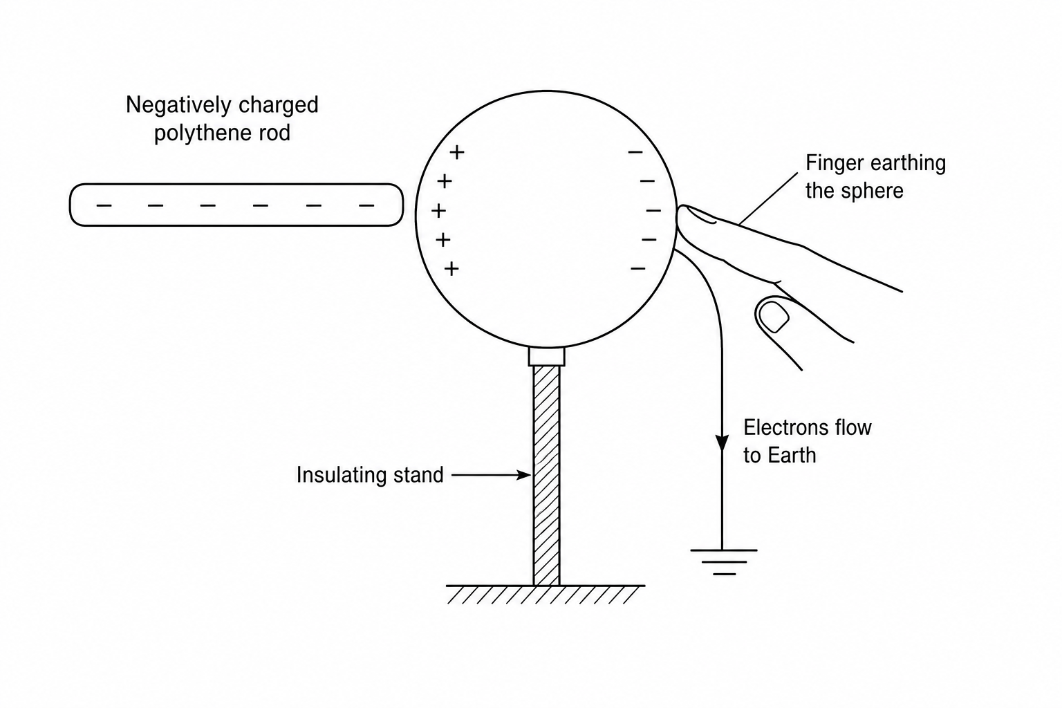 A negatively charged polythene rod is held near the left side of a metal sphere on an insulating stand. A finger touches the right side of the metal sphere to earth it.