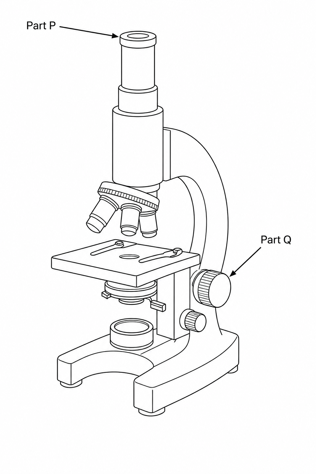 A diagram of a compound light microscope with labels Part P pointing to the eyepiece lens and Part Q pointing to the coarse focus knob.
