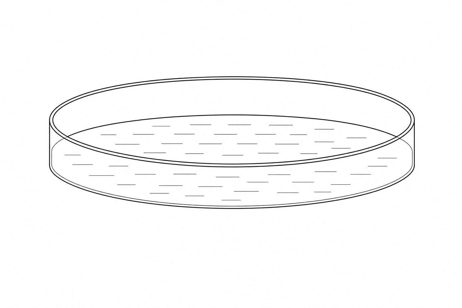 Figure 1: A wide, flat-bottomed circular glass vessel