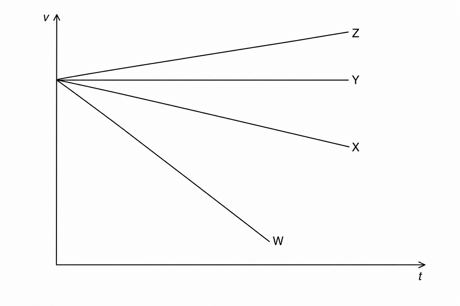A velocity-time graph with Velocity on the vertical axis and Time on the horizontal axis. Four straight lines, labeled W, X, Y, and Z, all start from the same positive value on the vertical velocity axis: Line W slopes downwards very steeply; Line X slopes downwards with a gentler slope than Line W; Line Y is horizontal and parallel to the time axis; Line Z slopes upwards relative to the starting point.