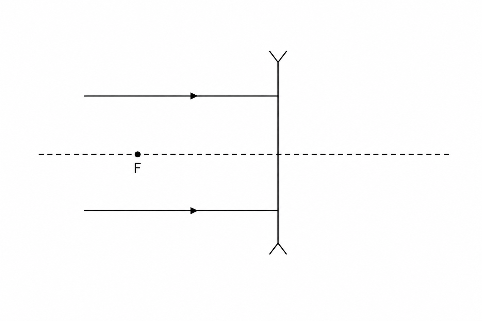Figure 1: Two parallel light rays incident on a concave glass lens.