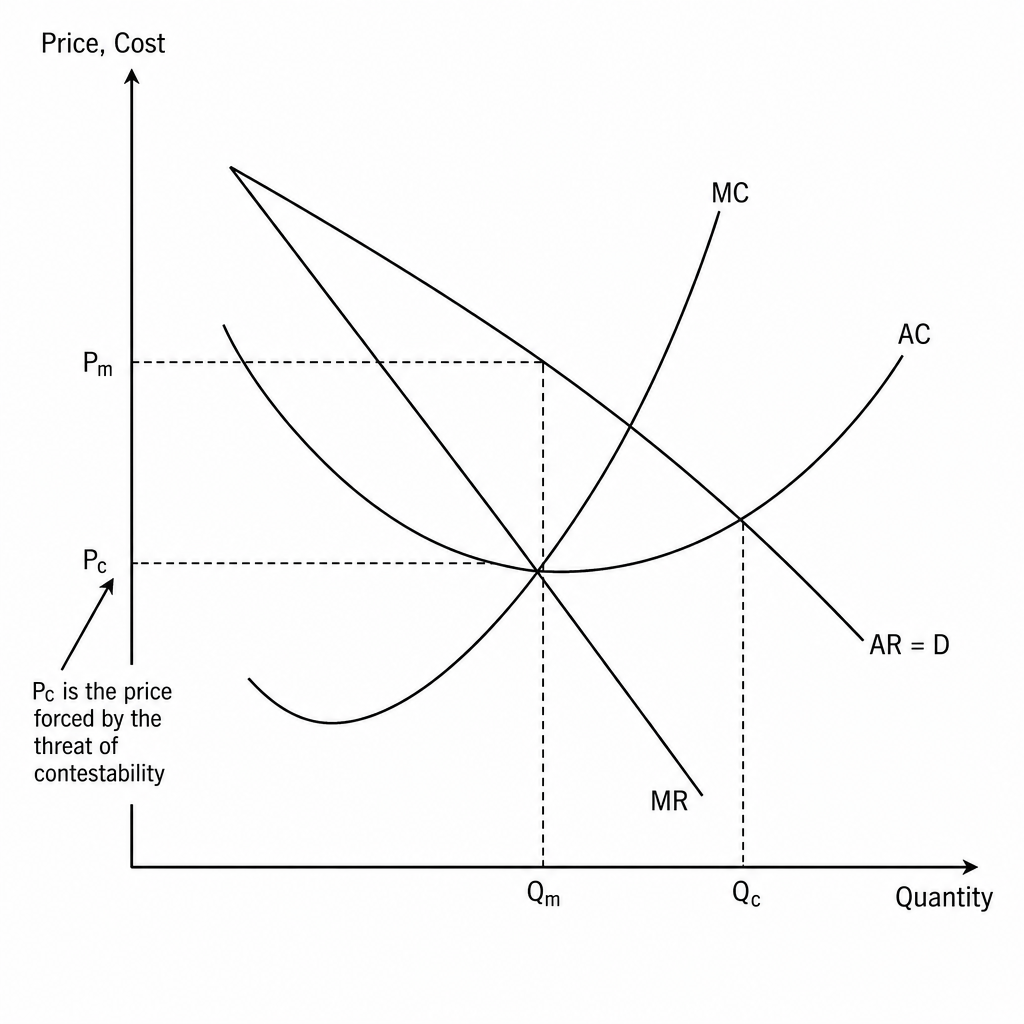 Contestable Market Model