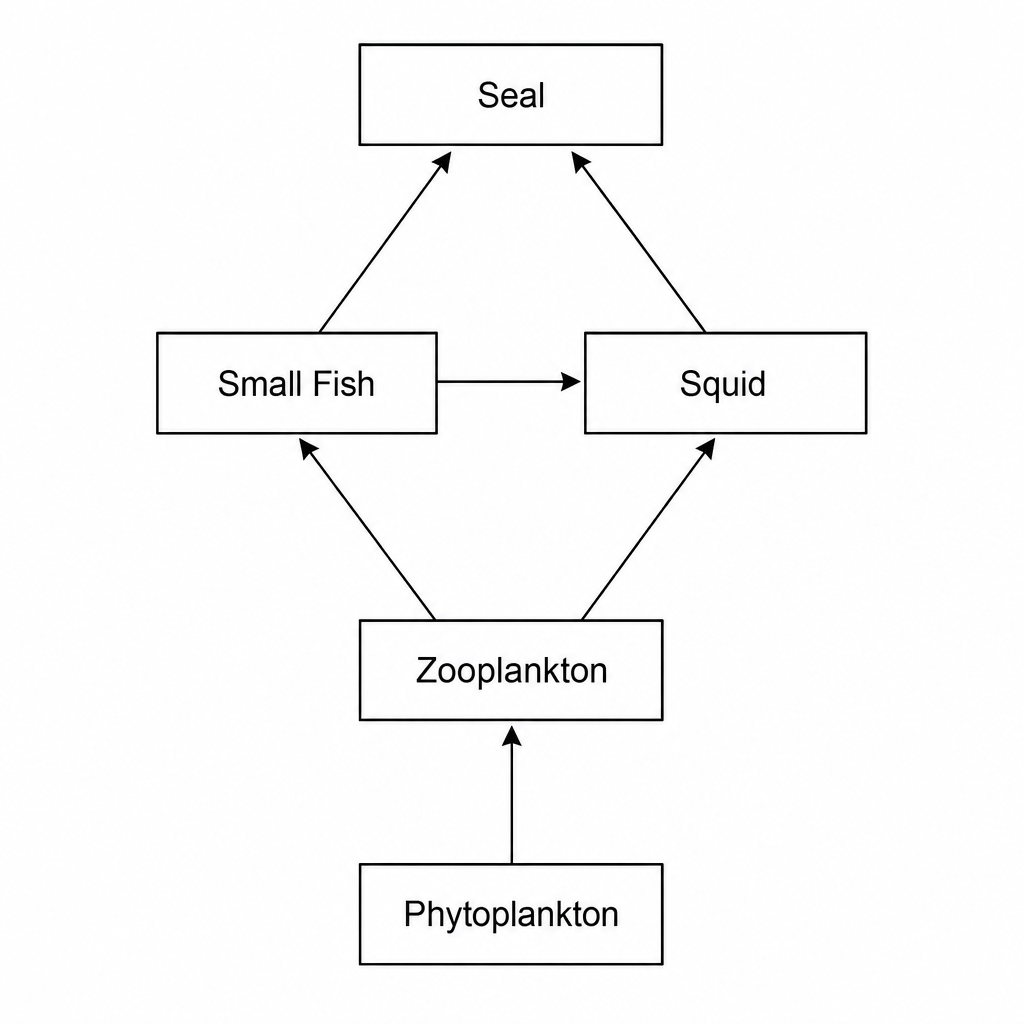 Marine Food Web