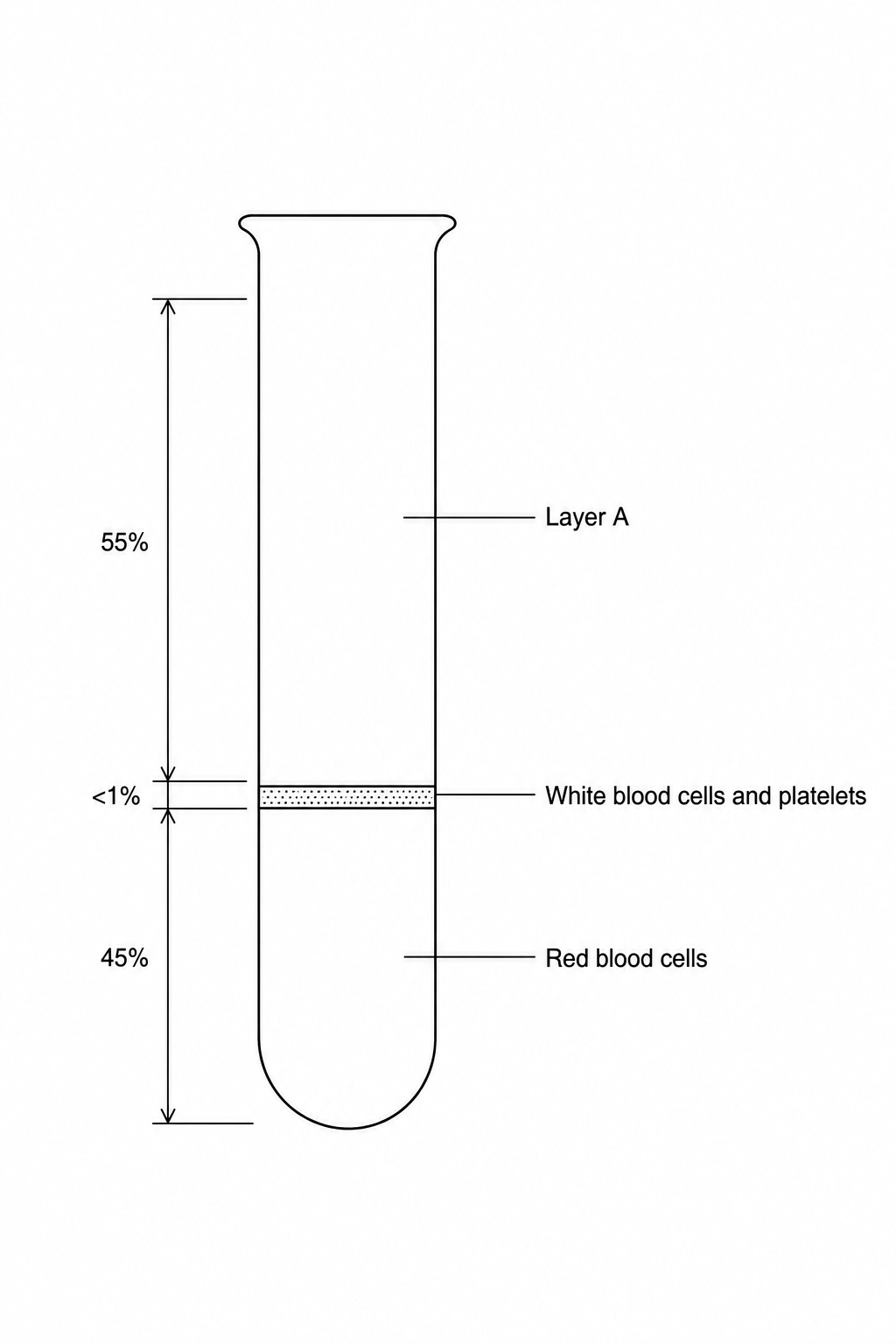 A diagram of a test tube containing a centrifuged blood sample separated into three layers. The top layer, which makes up about 55% of the volume, is labeled 'Layer A'. The thin middle layer is labeled 'White blood cells and platelets'. The bottom layer is labeled 'Red blood cells'.
