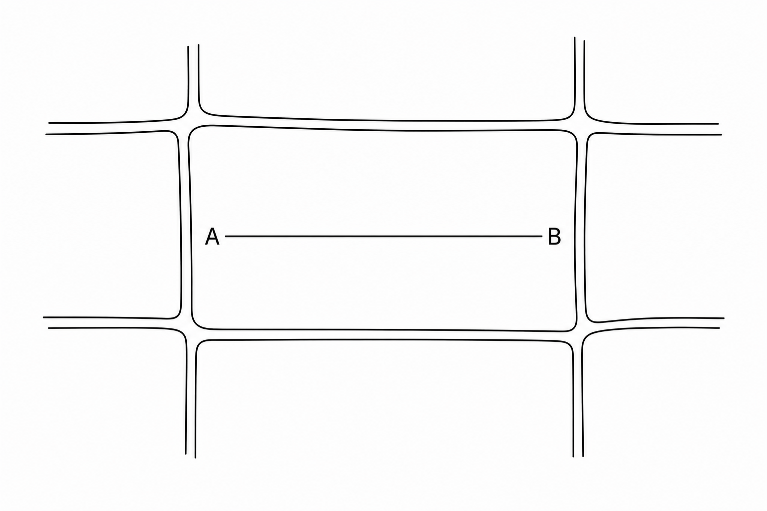 A diagram of rectangular plant cells under a microscope. A straight line labeled AB is drawn horizontally across one cell representing its length.
