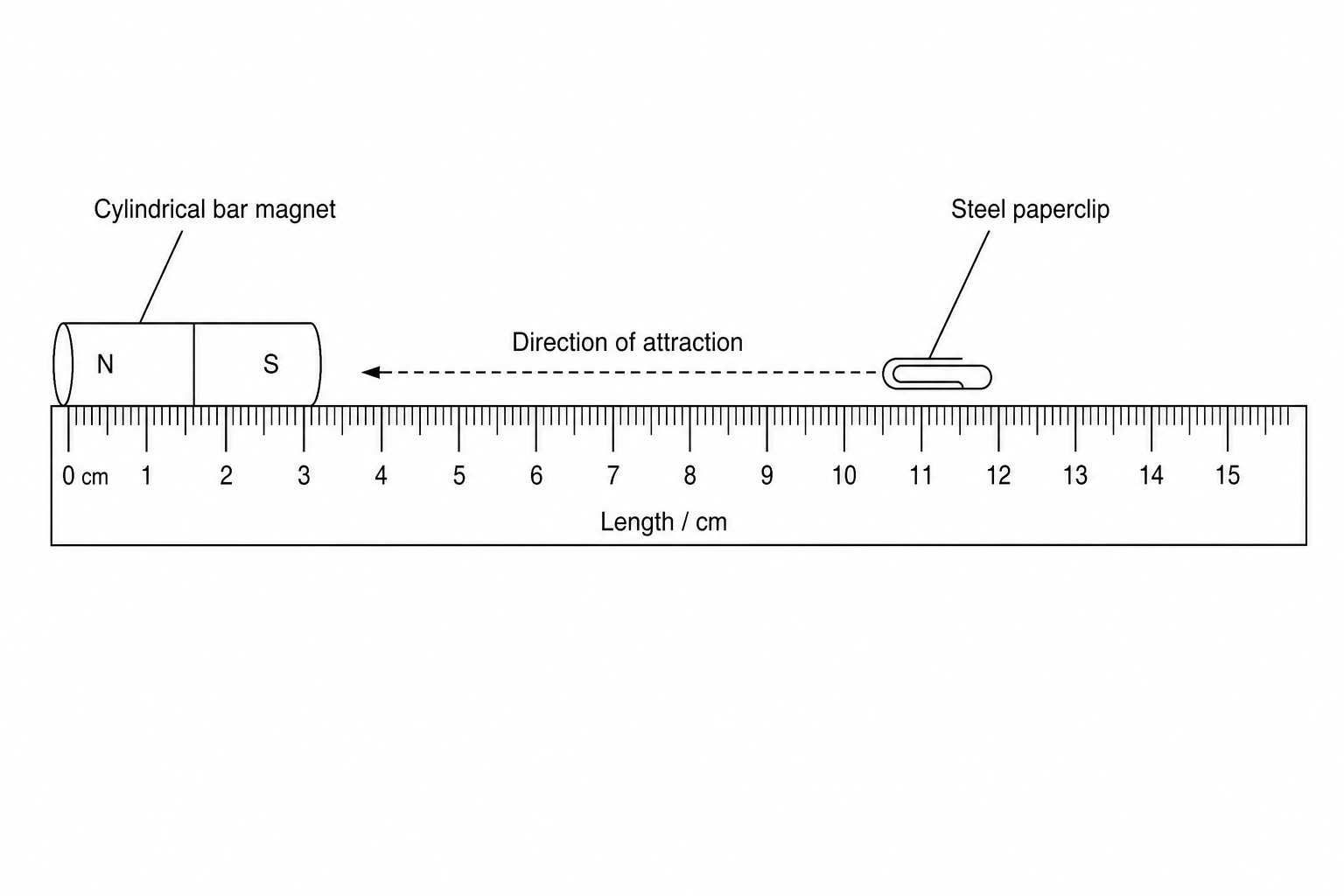 Figure 1: Experimental setup to compare magnetic strength using a ruler and a paperclip.