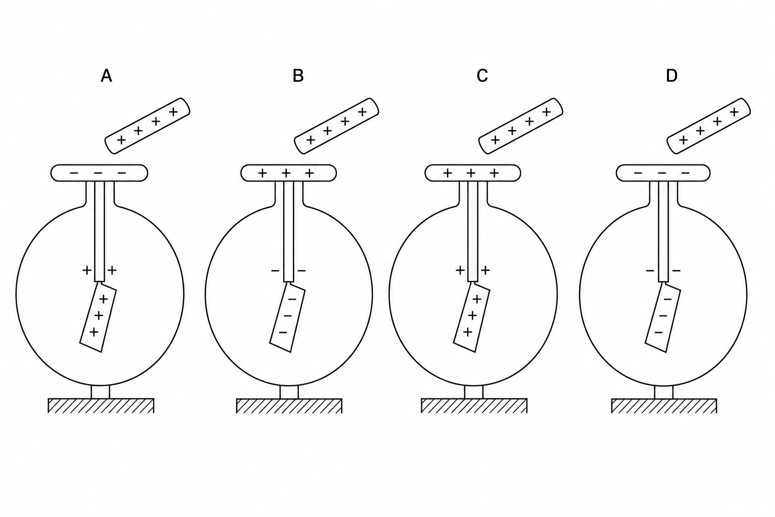 Four diagrams of a gold leaf electroscope with a positively charged rod held near the cap, showing different distributions of charge.