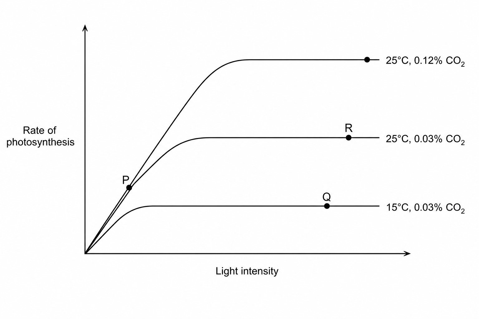 Graph showing photosynthesis rate under different conditions