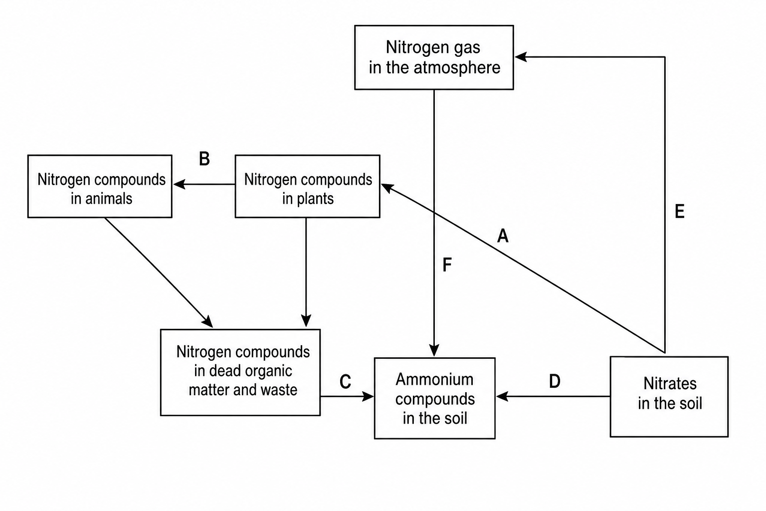 A flowchart showing the nitrogen cycle. Six boxes representing nitrogen reservoirs are connected by arrows. Top: "nitrogen gas in the atmosphere". Bottom right: "nitrates in the soil". Bottom center: "ammonium compounds in the soil". Left: "nitrogen compounds in plants". Far left: "nitrogen compounds in animals". Middle left: "nitrogen compounds in dead organic matter and waste". Arrow F goes from "nitrogen gas in the atmosphere" to "ammonium compounds in the soil". Arrow A goes from "nitrates in the soil" to "nitrogen compounds in plants". Arrow B goes from "nitrogen compounds in plants" to "nitrogen compounds in animals". Two unlabeled arrows point from plants and animals to "nitrogen compounds in dead organic matter and waste". Arrow C goes from "nitrogen compounds in dead organic matter and waste" to "ammonium compounds in the soil". Arrow D goes from "ammonium compounds in the soil" to "nitrates in the soil". Arrow E goes from "nitrates in the soil" to "nitrogen gas in the atmosphere".