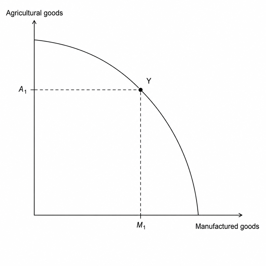 A production possibility frontier (PPF) curve representing an economy producing Agricultural goods on the vertical axis and Manufactured goods on the horizontal axis. Point Y is plotted on the concave PPF curve, associated with an initial level of agricultural goods A1 and manufactured goods M1 on their respective axes.