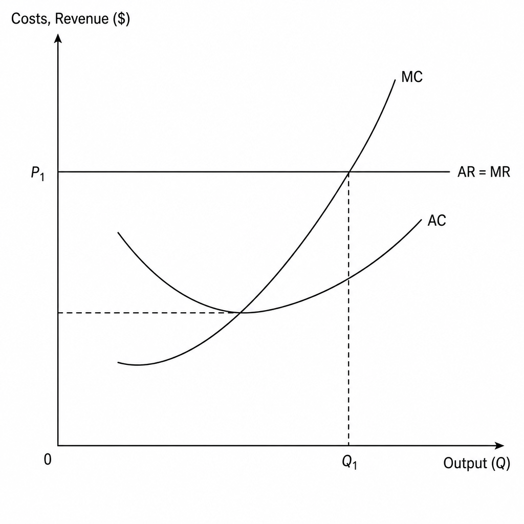 Perfect competition short-run supernormal profits