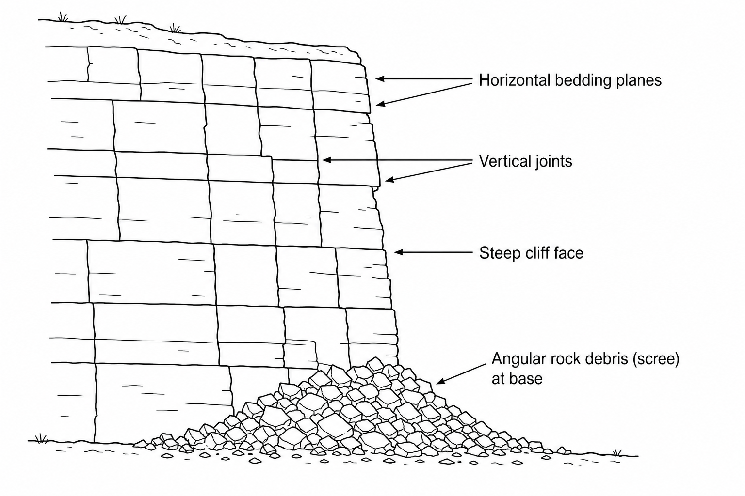 Figure 2: A diagram showing a coastal cliff face with horizontal bedding planes, vertical joints, a steep cliff face, and angular rock debris (scree) at the base.
