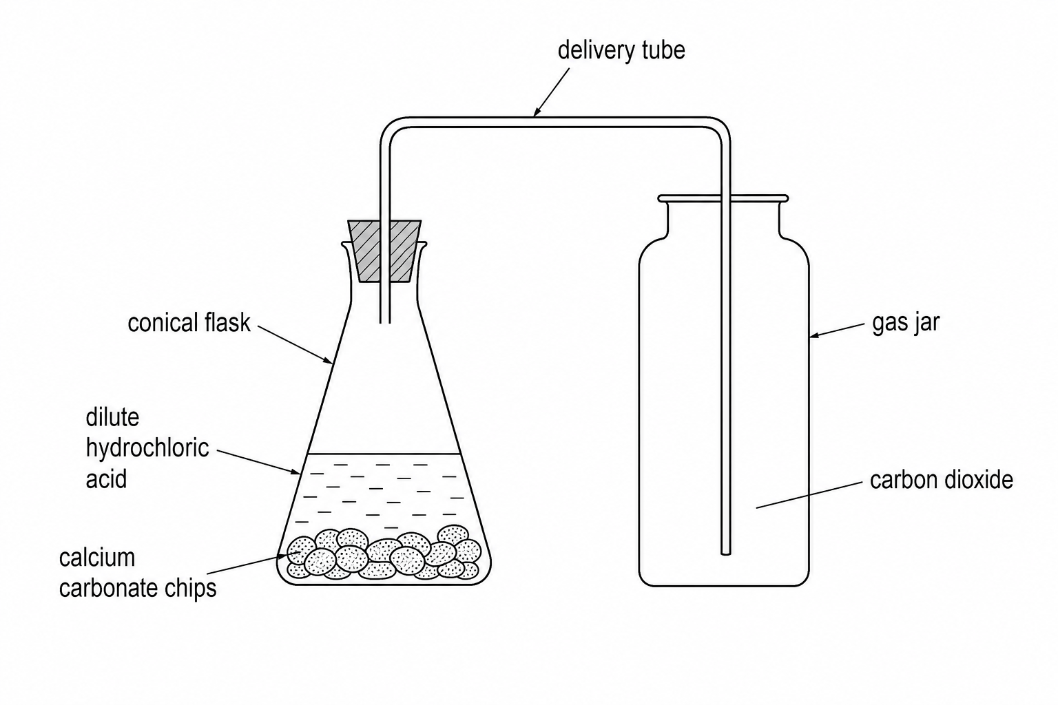 A conical flask containing calcium carbonate chips and dilute hydrochloric acid is sealed with a rubber bung. A delivery tube passes through the bung and runs into a gas jar where carbon dioxide is collected by downward delivery.