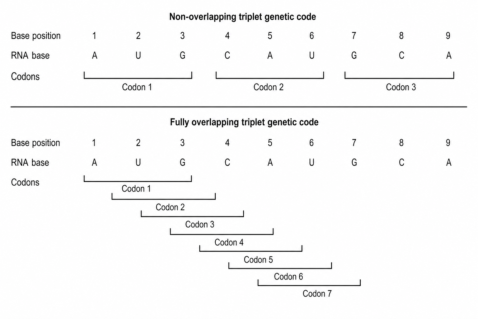 Comparison of non-overlapping and overlapping genetic codes