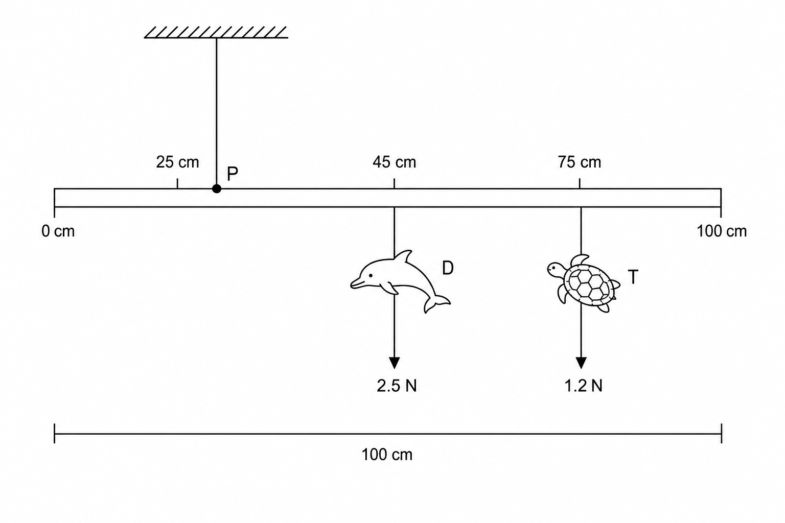 A diagram of a hanging mobile suspended from a pivot point P on a support wire. The vertical wire connects to the horizontal beam at the 25 cm mark. A model dolphin (D) hangs from the 45 cm mark. A model turtle (T) hangs from the 75 cm mark. The weight of D is 2.5 N and the weight of T is 1.2 N.