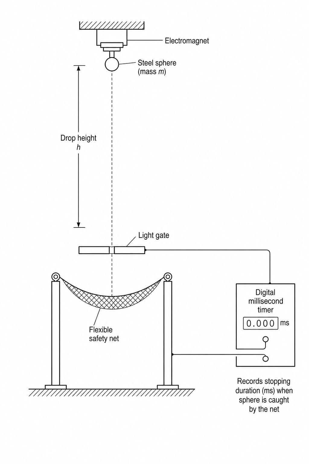 Experimental setup for vertical drop test onto a safety net
