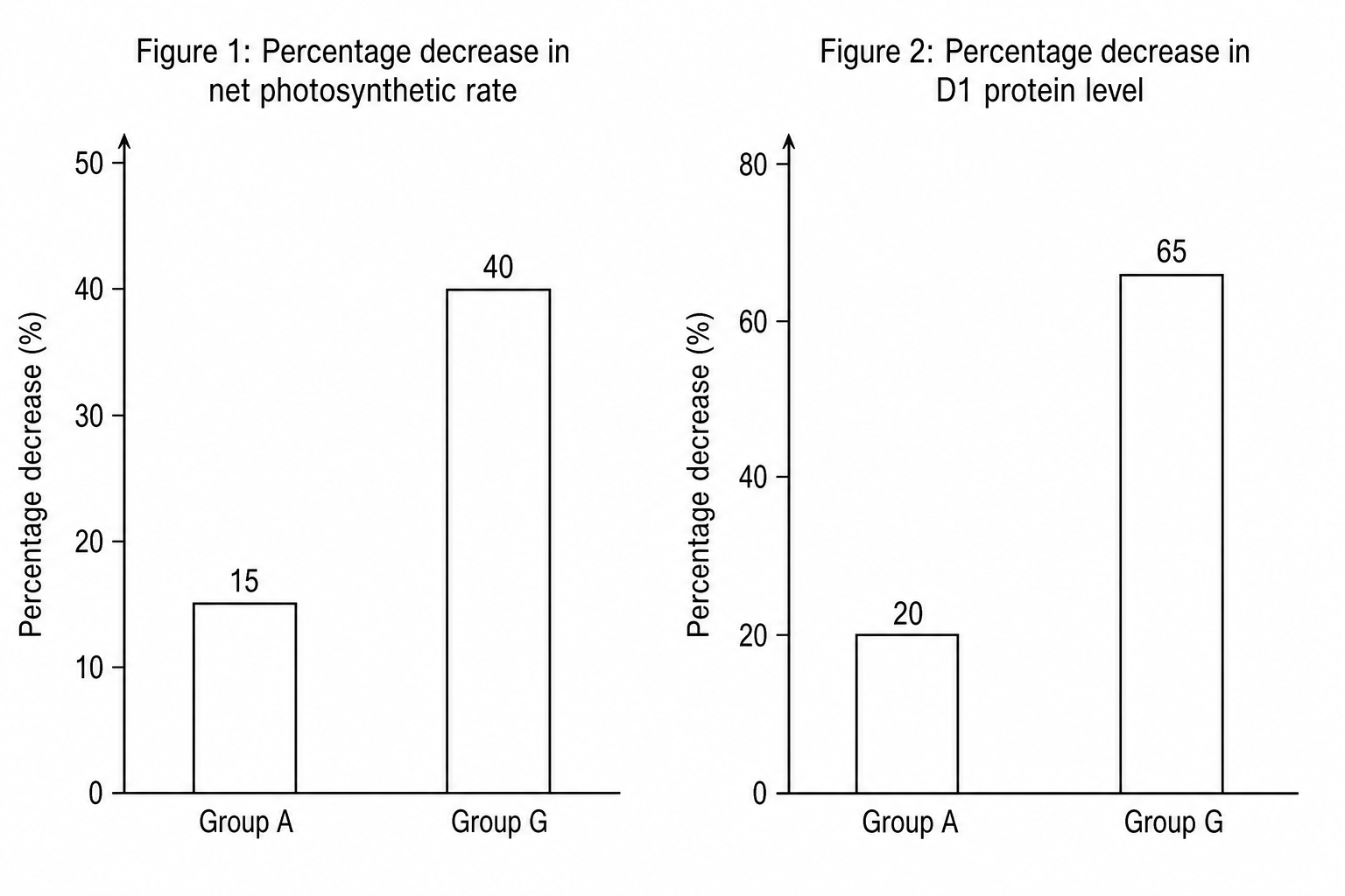 Two bar charts showing the effect of a 4-week drought treatment on Group A and Group G plants. Figure 1 is titled 'Figure 1: Percentage decrease in net photosynthetic rate' with the y-axis ranging from 0 to 50 percent. Group A is shown with a light gray bar at 15 percent, and Group G is shown with a dark gray bar at 40 percent. Figure 2 is titled 'Figure 2: Percentage decrease in D1 protein level' with the y-axis ranging from 0 to 80 percent. Group A is shown with a light gray bar at 20 percent, and Group G is shown with a dark gray bar at 65 percent.