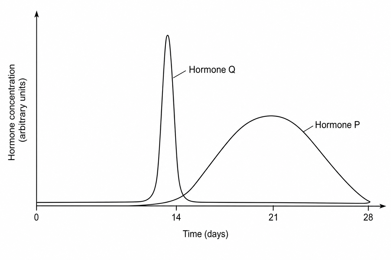 Menstrual cycle hormones graph