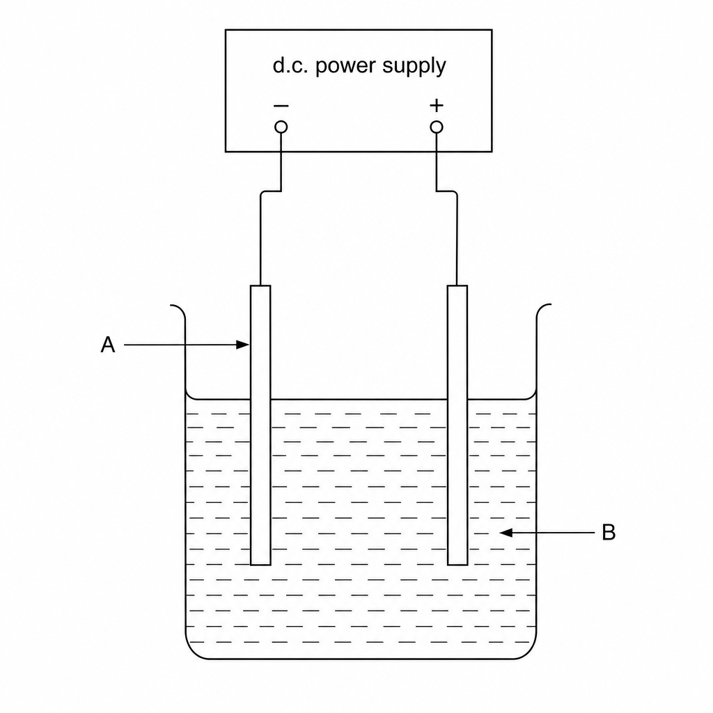 Figure 1: Electrolysis cell setup