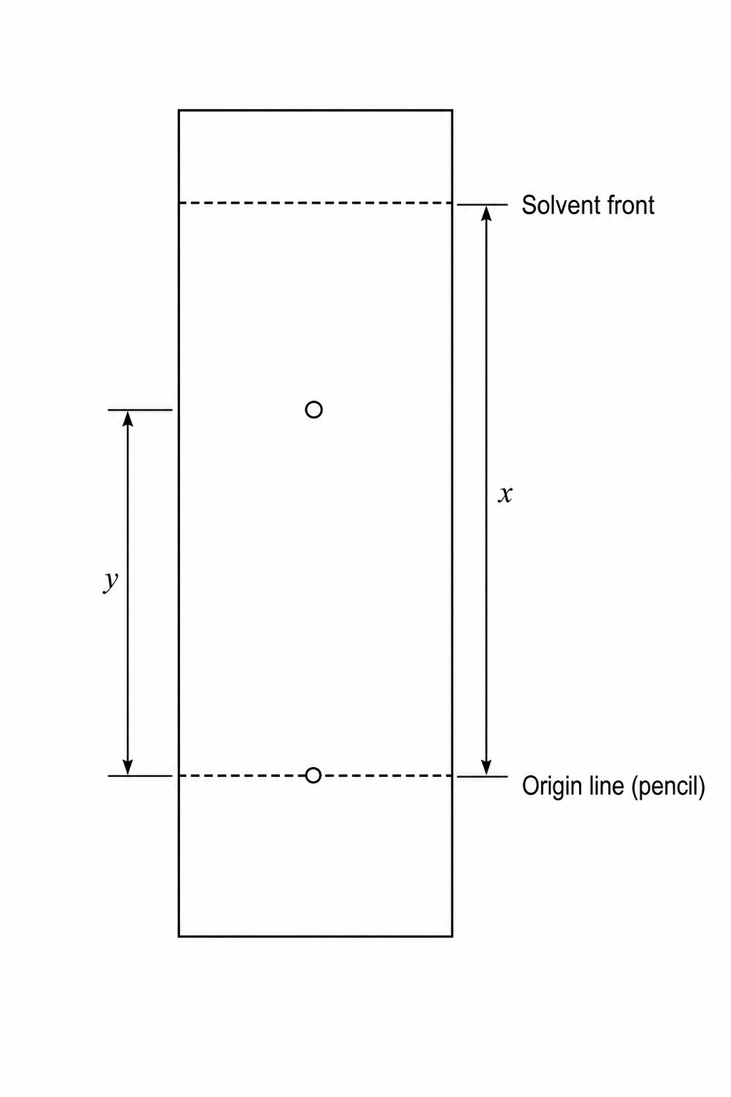 TLC Plate Diagram