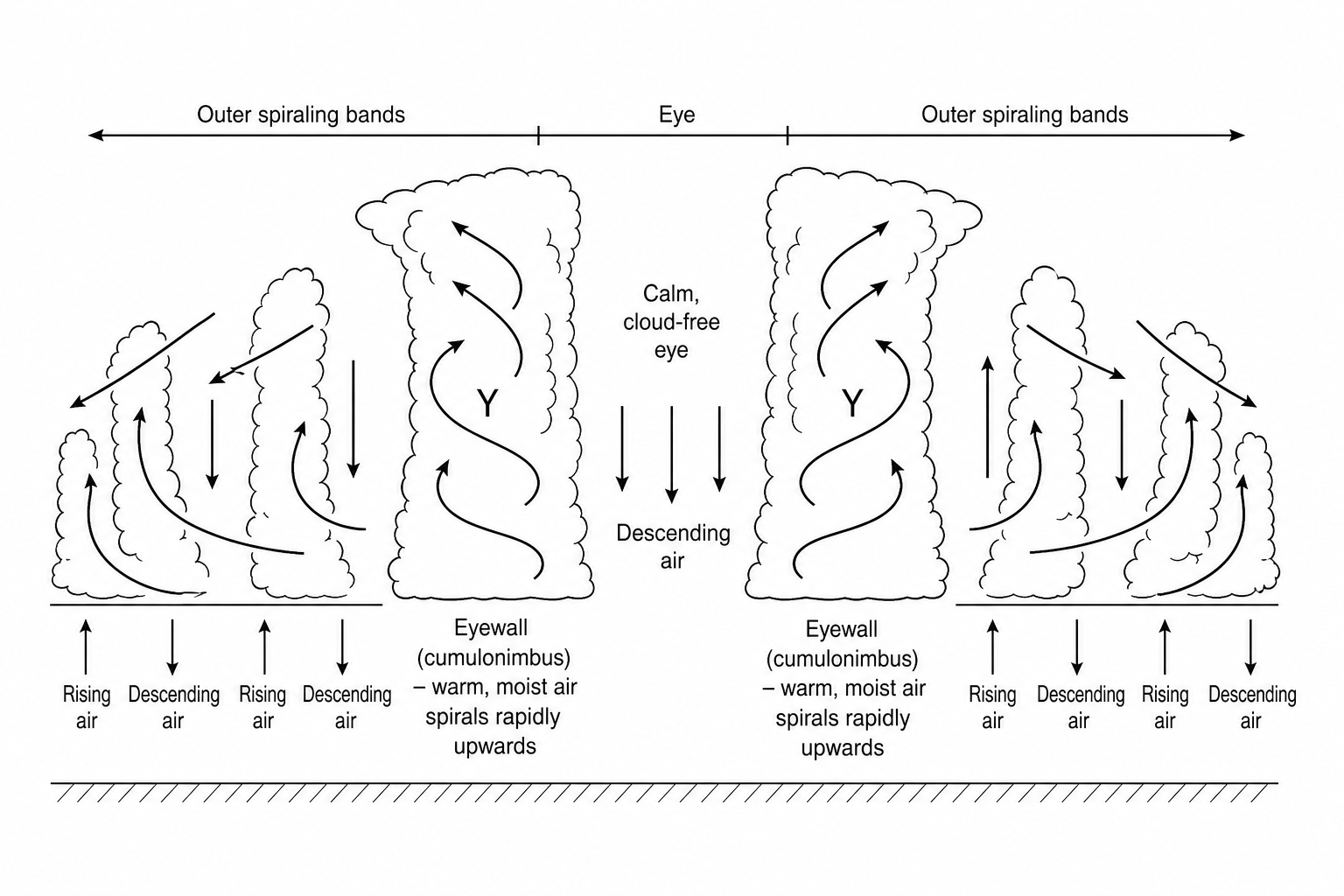 Figure 6: A simplified cross-sectional diagram of a tropical storm. At the very centre is a calm, cloud-free area of sinking air. Directly flanking this central area on both sides are towering, vertical walls of cumulonimbus clouds, labelled with the letter 'Y'. Arrows show warm, moist air spiralling rapidly upwards within these towering clouds. Further out from the centre are spiralling bands of rain clouds with alternating areas of rising and sinking air.