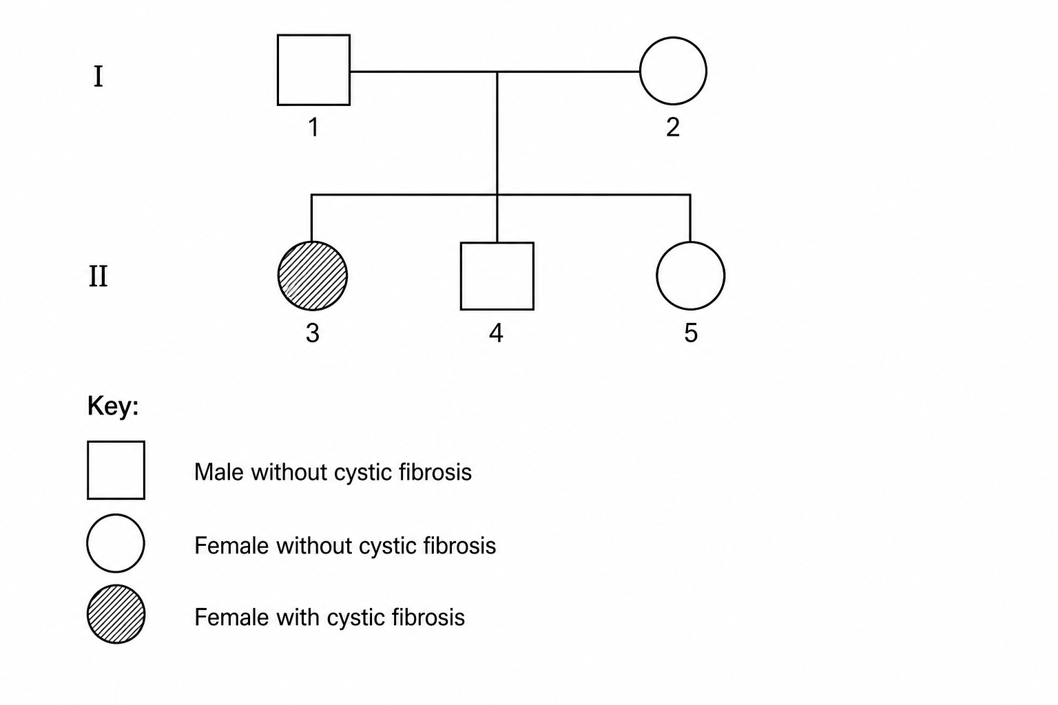 Family pedigree chart showing parents 1 (empty square) and 2 (empty circle) linked to three children: 3 (shaded circle), 4 (empty square), and 5 (empty circle).