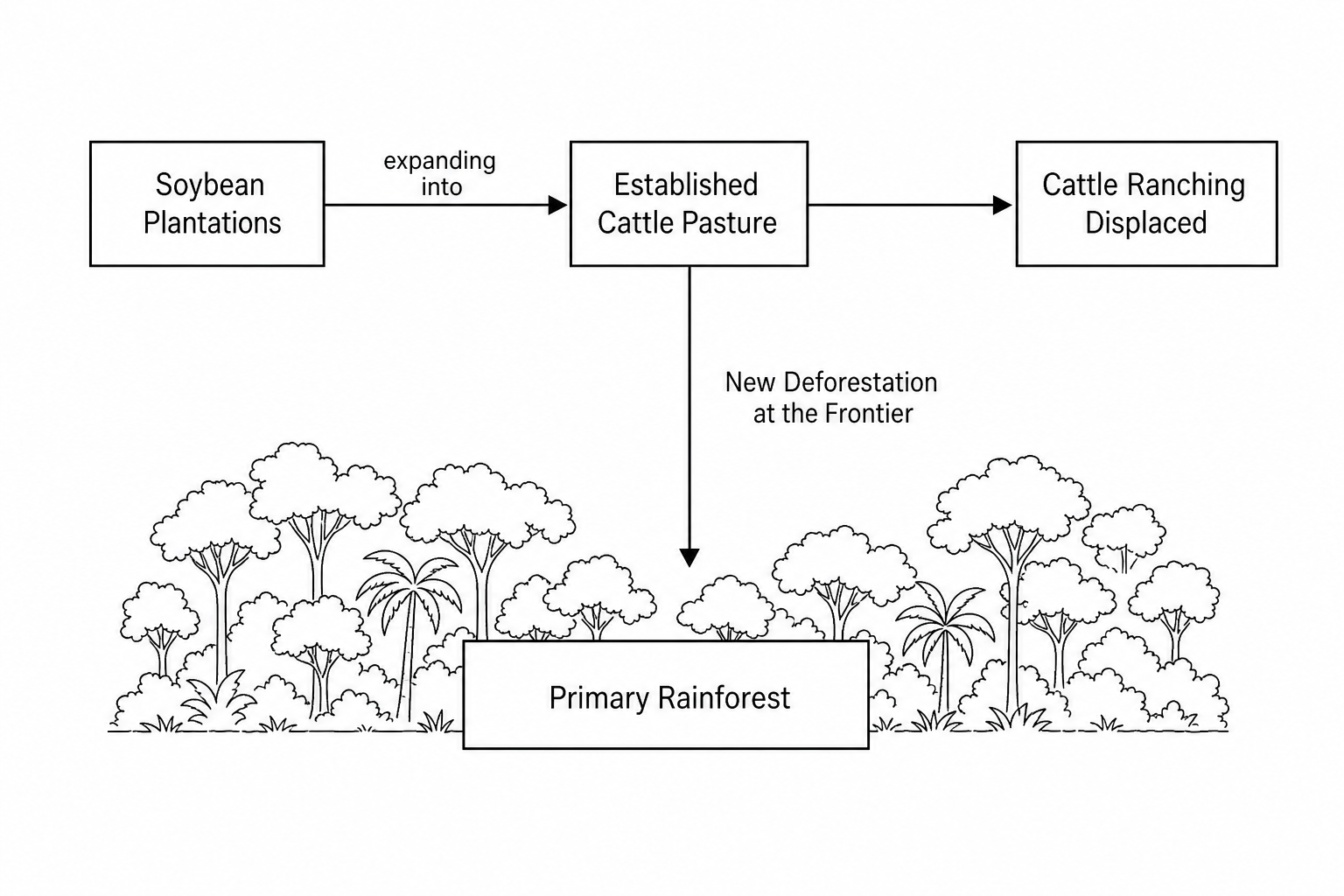Land-use displacement in the Amazon showing the link between soy expansion, pasture conversion, and frontier deforestation.