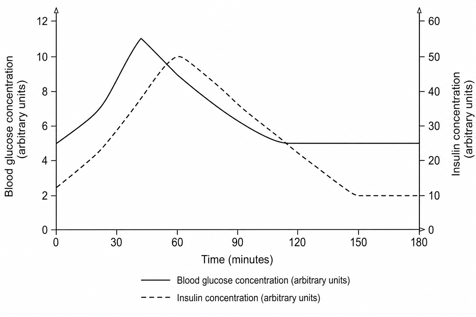 A line graph showing changes in blood glucose and blood insulin concentration over a 180-minute period after consuming a carbohydrate drink at 0 minutes. The left y-axis is 'Blood glucose concentration (arbitrary units)' ranging from 0 to 12. The right y-axis is 'Insulin concentration (arbitrary units)' ranging from 0 to 60. The x-axis is 'Time (minutes)' ranging from 0 to 180. The blood glucose line rises from a baseline of 5 to a peak of 11 at 45 minutes, then steadily falls back to 5 by 120 minutes. The insulin line rises from a baseline of 10 to a peak of 50 at 60 minutes, then falls back toward baseline by 150 minutes.